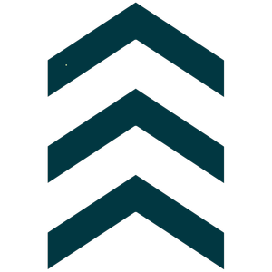 Growth Mode arrow icon